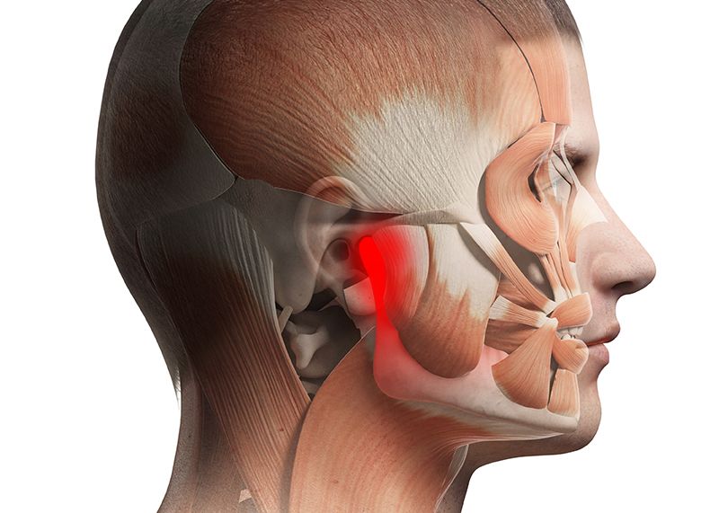 Digital anatomical illustration highlighting jaw pain